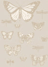 Butterflies & Dragonflies Wallpaper by Cole & Son