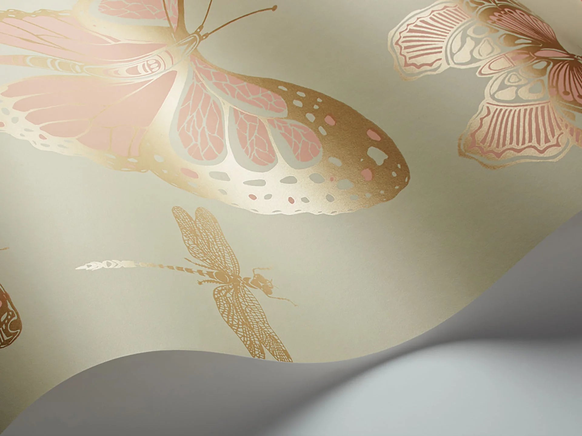 Butterflies & Dragonflies Wallpaper by Cole & Son