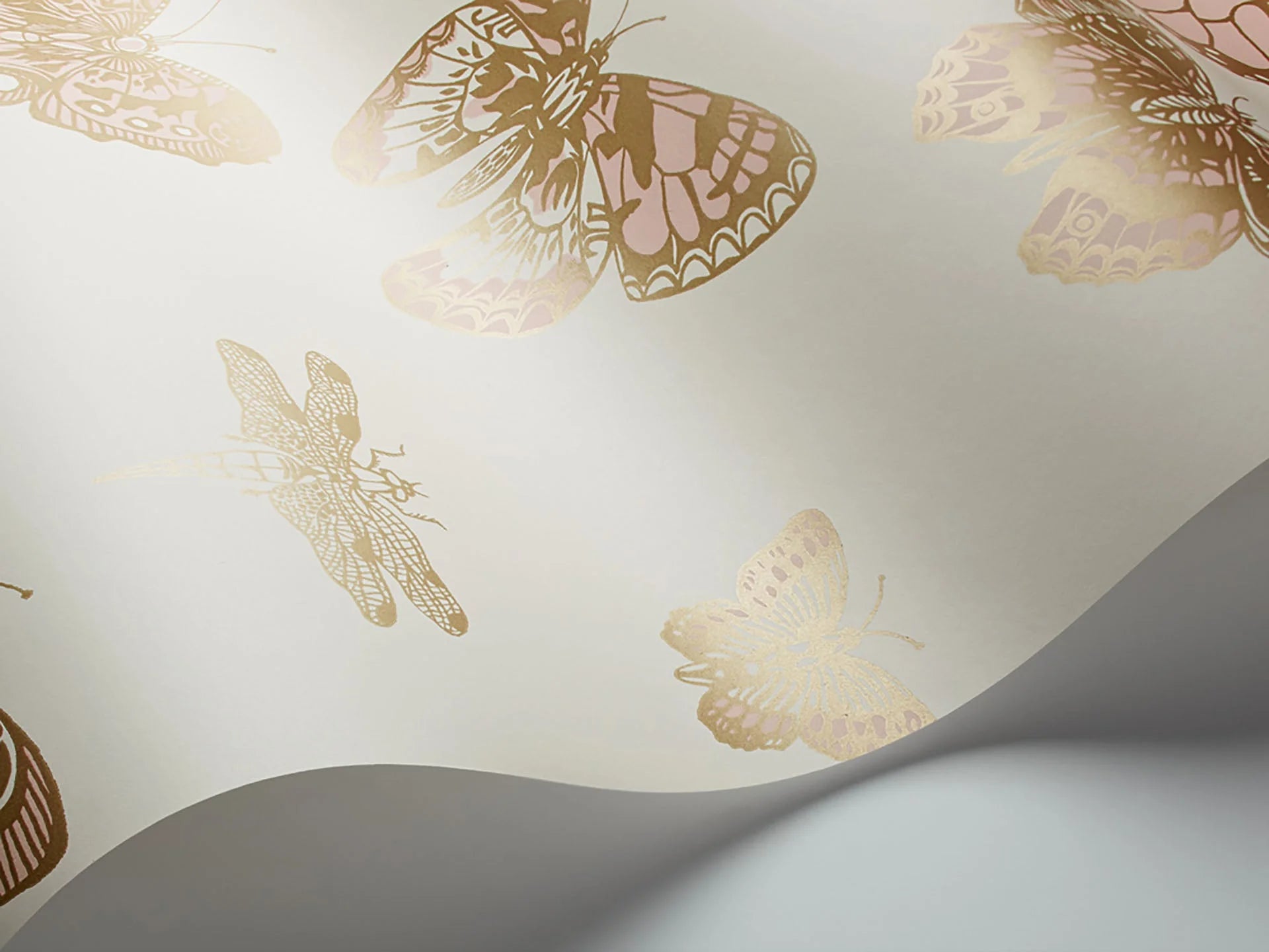 Butterflies & Dragonflies Wallpaper by Cole & Son