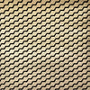 Buzz Flock Wallpaper by Erica Wakerly