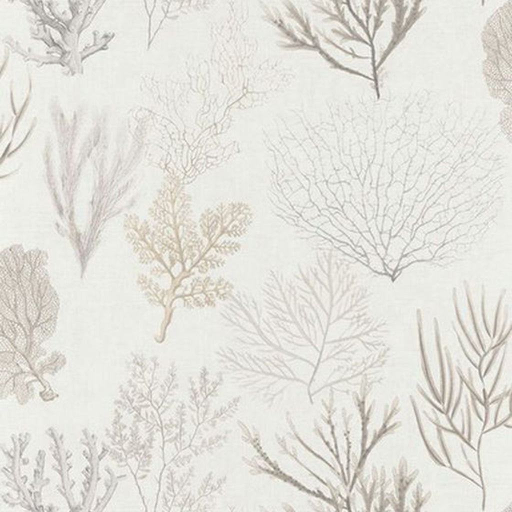 Corail Wallpaper
