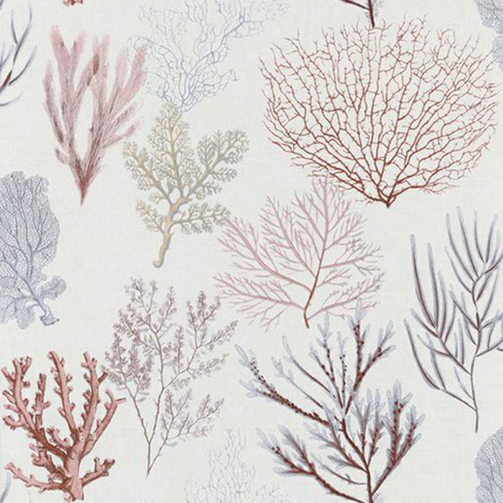 Corail Wallpaper