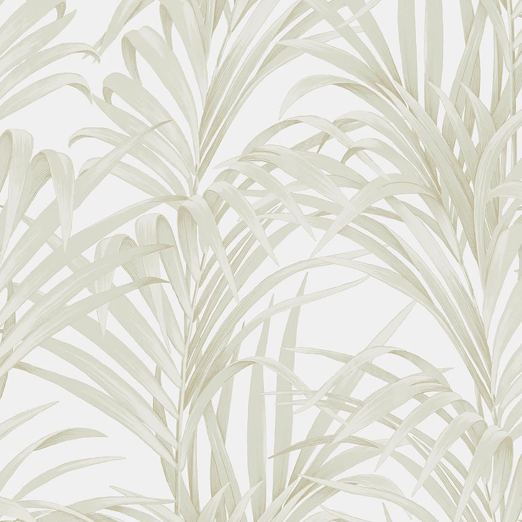 Louise Fougeres Palm Wallpaper