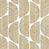 White Abelia wallpaper