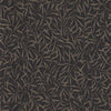 Liquorice
