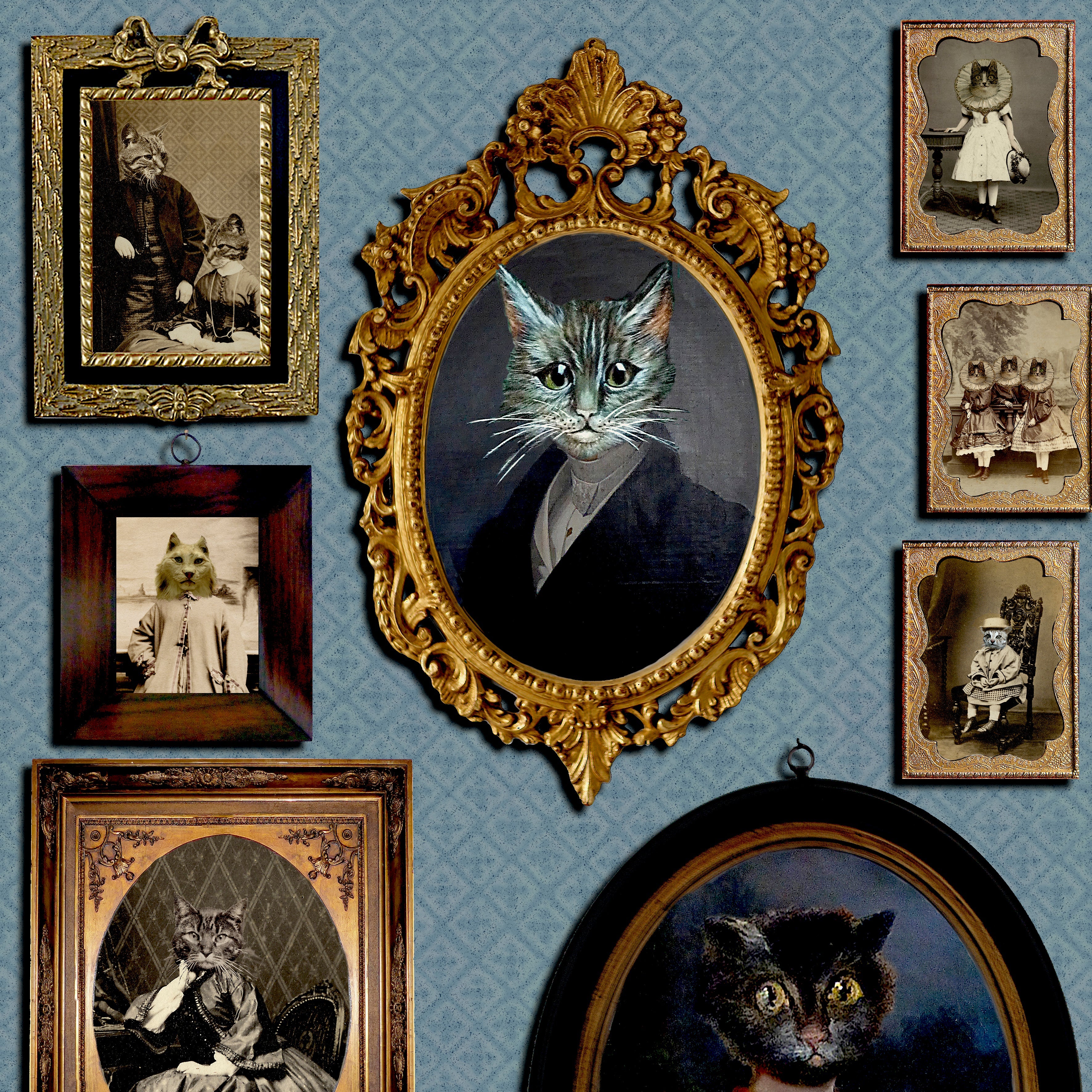 A Cavalcade of Cats Wallpaper by Graduate Collection