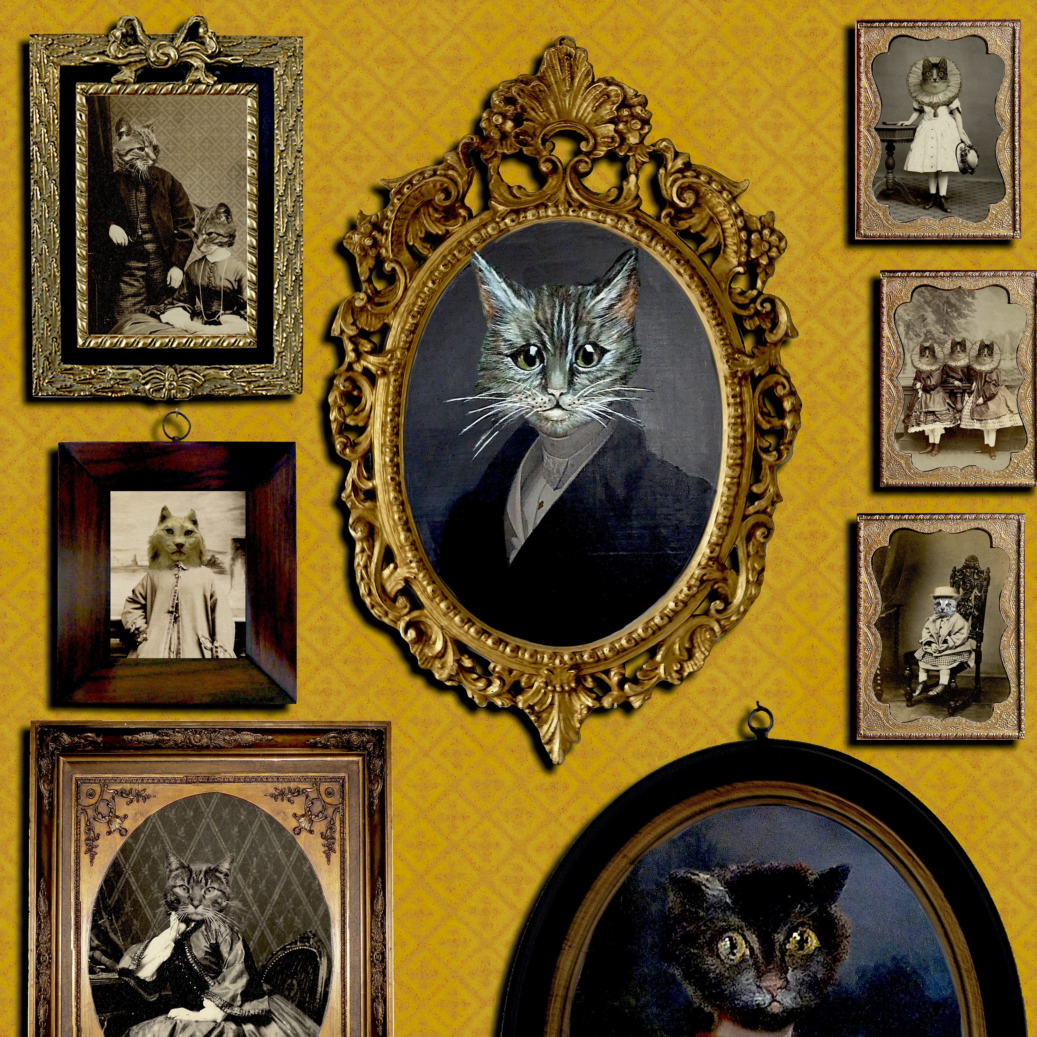 A Cavalcade of Cats Wallpaper by Graduate Collection