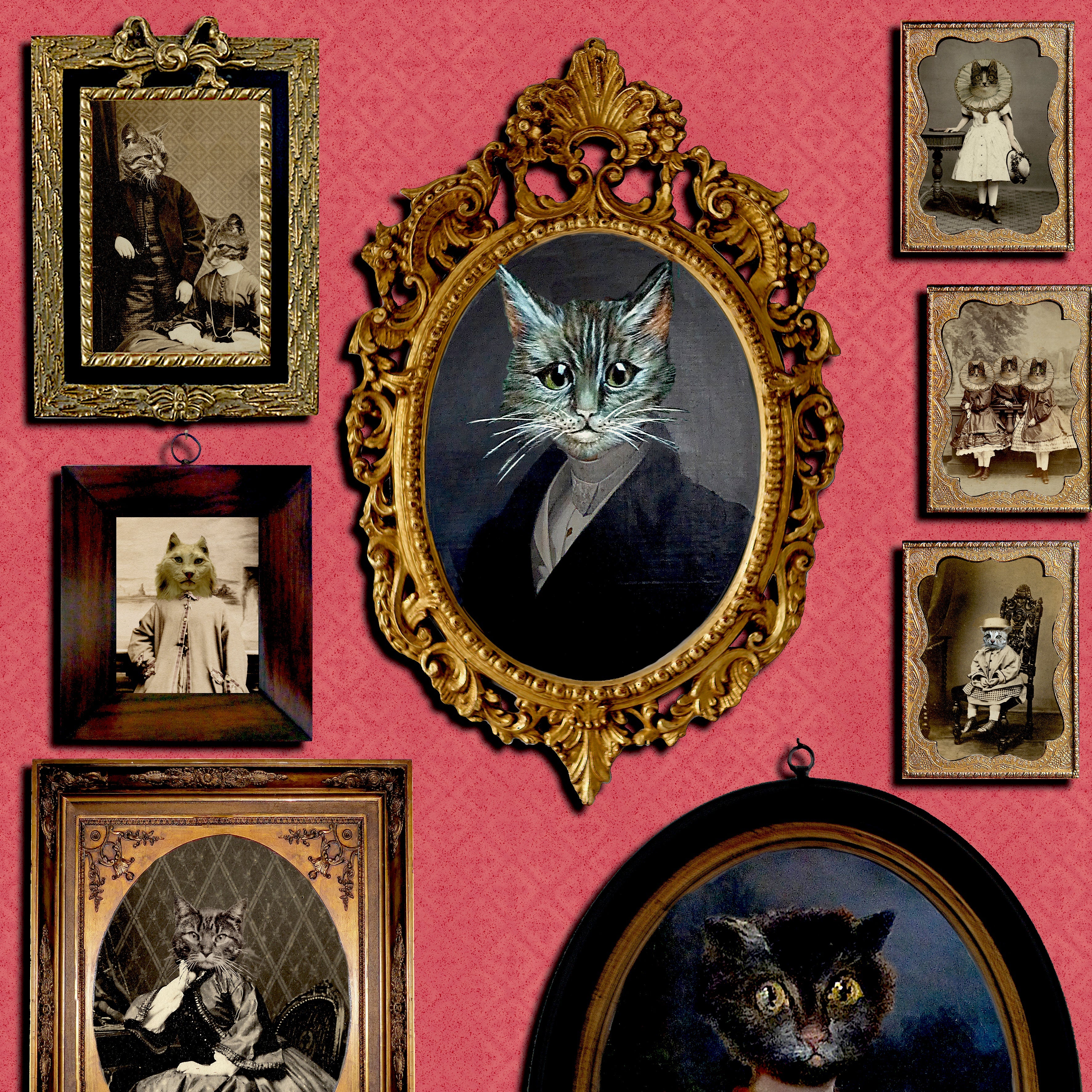 A Cavalcade of Cats Wallpaper by Graduate Collection