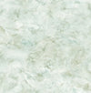 Celeste Wallpaper by Daisy Bennett