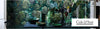 Forest Wallpaper by Cole & Son