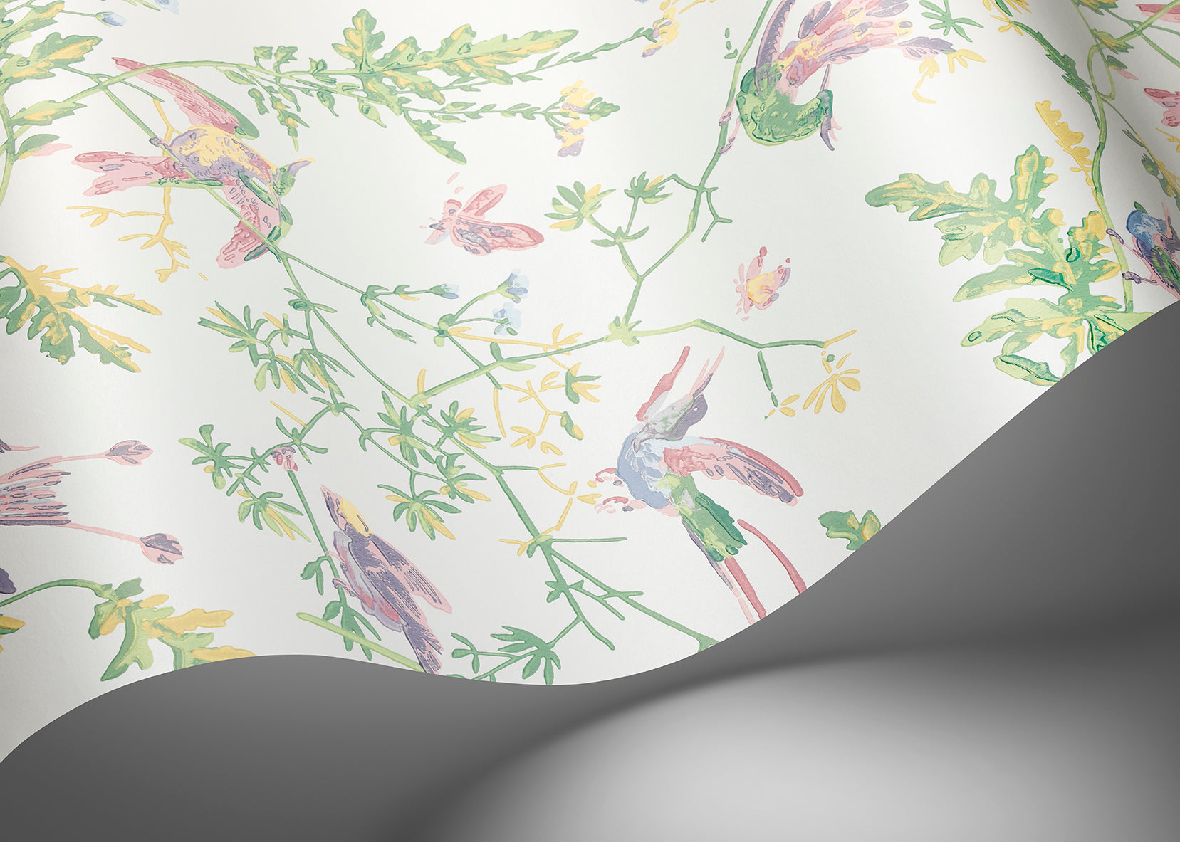 Humming Birds Wallpaper by Cole & Son