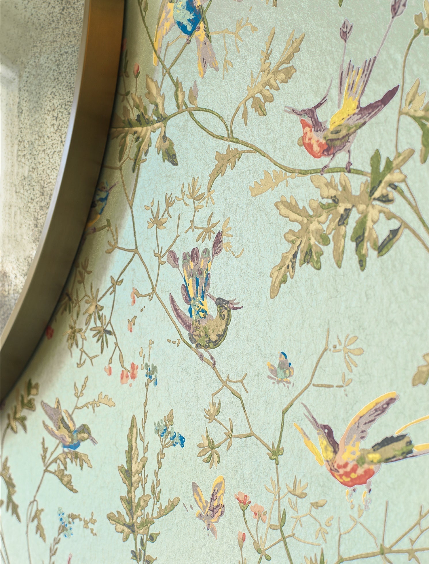 Humming Birds Wallpaper by Cole & Son