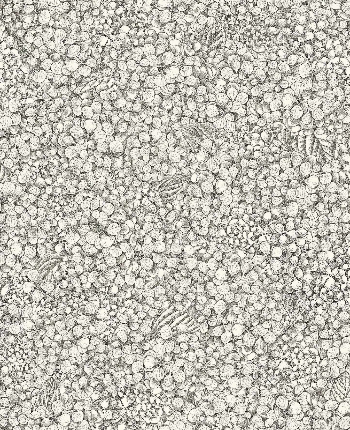 Ortensia wallpaper by Cole & Son