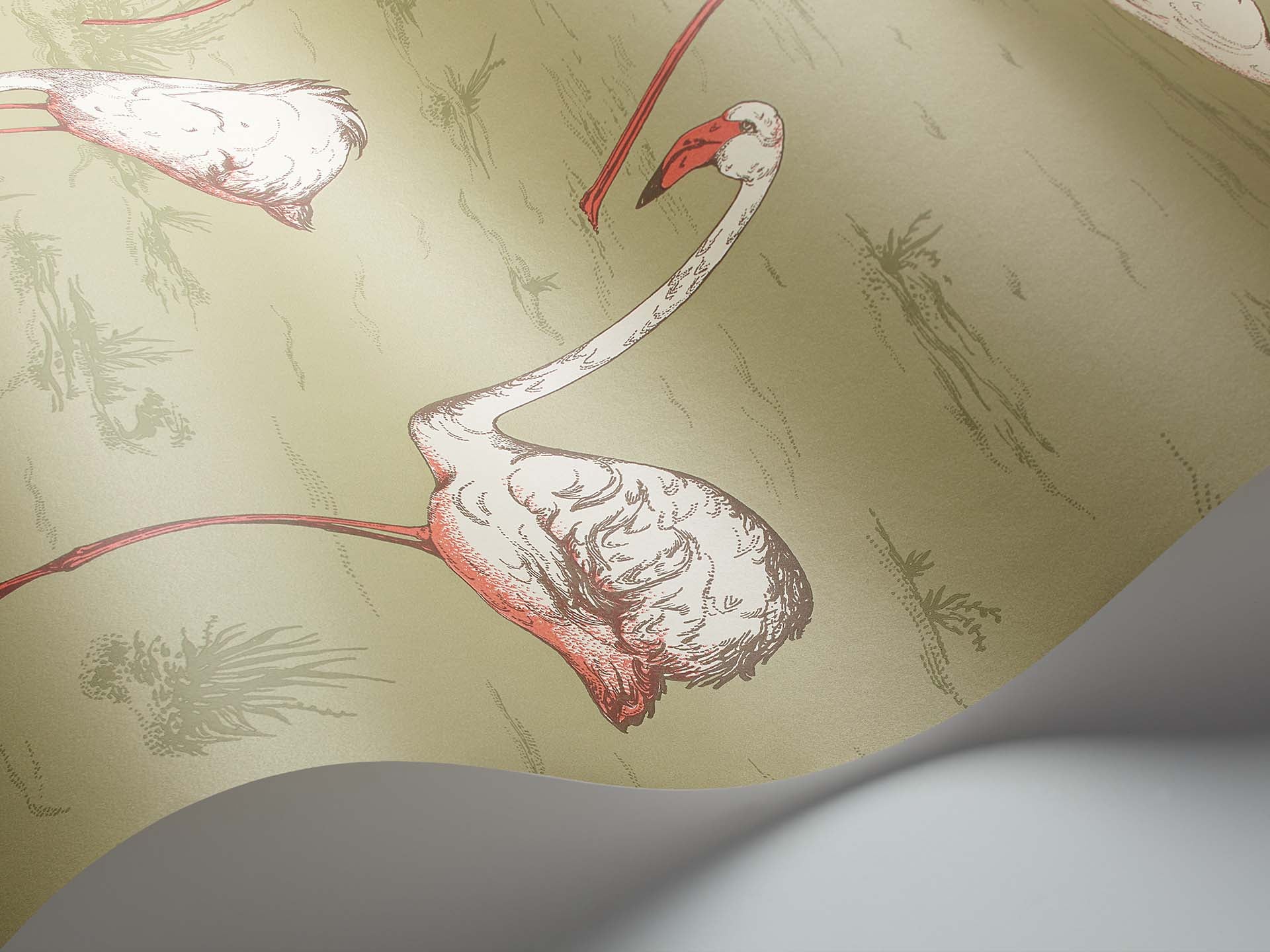 Flamingo Icons by Cole & Son Wallpaper
