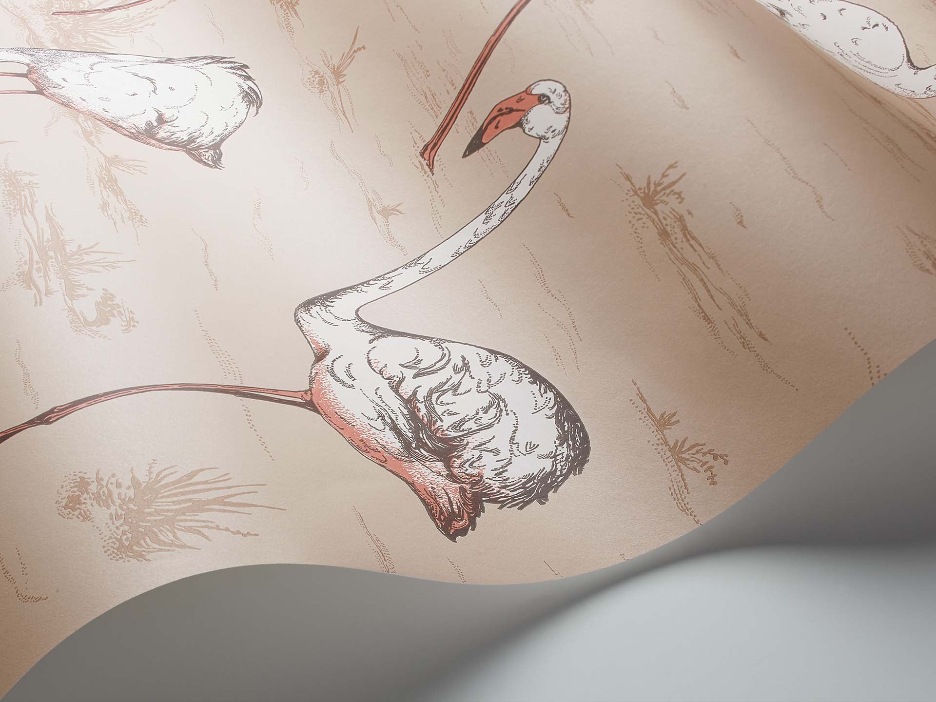 Flamingo Icons by Cole & Son Wallpaper