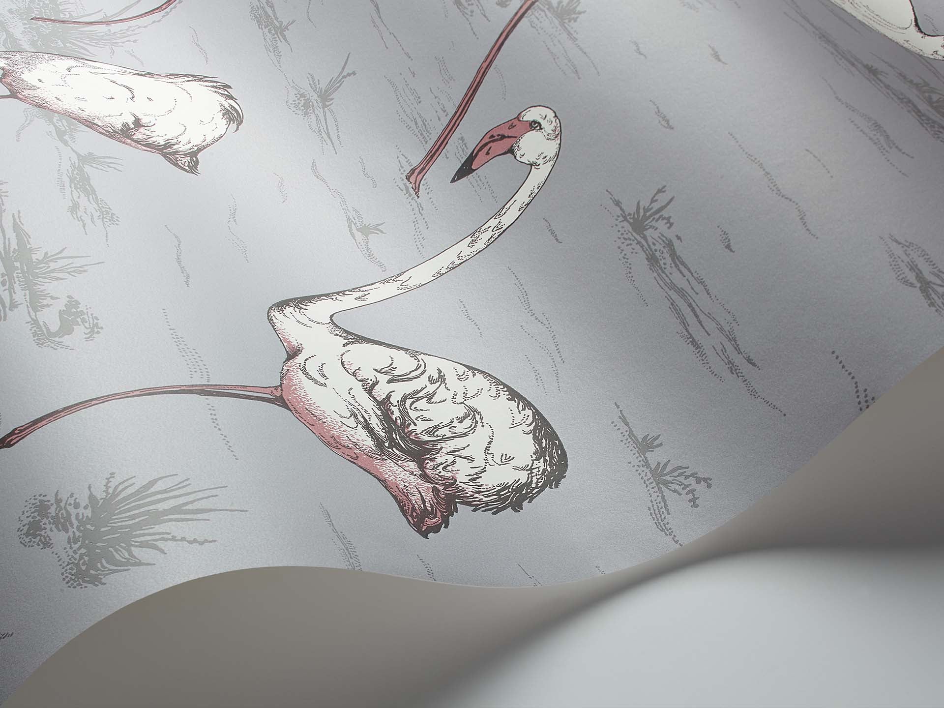 Flamingo Icons by Cole & Son Wallpaper