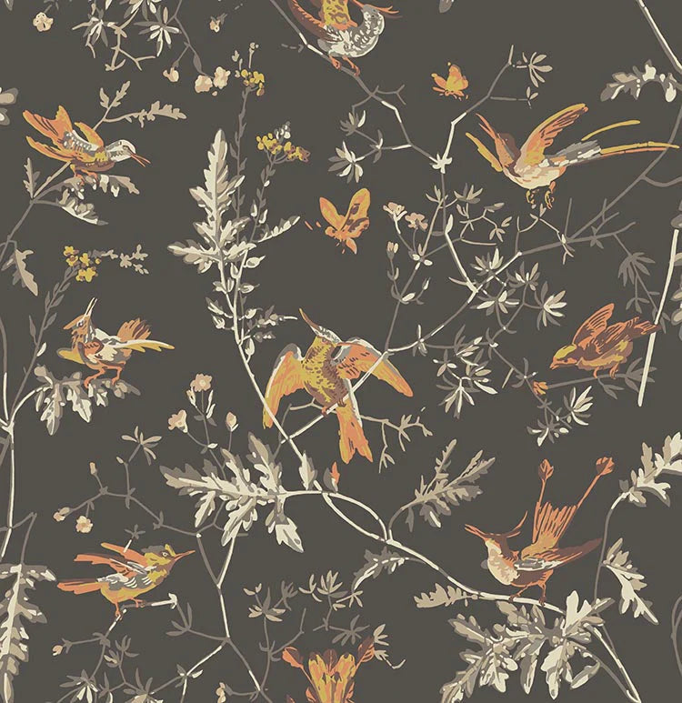 Humming Birds Wallpaper by Cole & Son