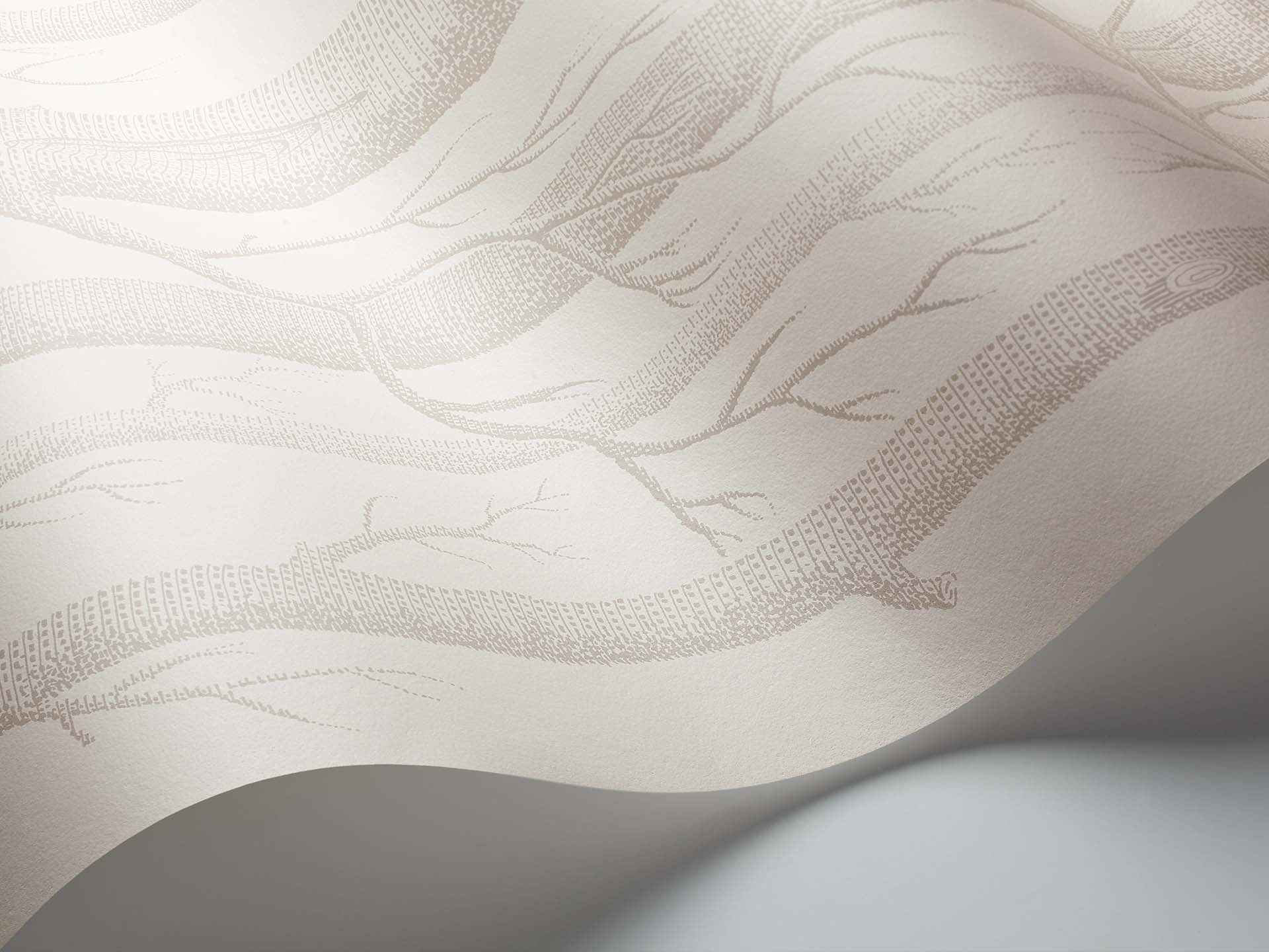 Woods Icons Wallpaper by Cole & Son