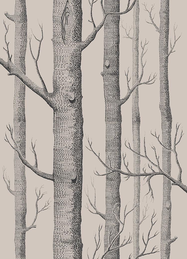 Woods Icons Wallpaper by Cole & Son