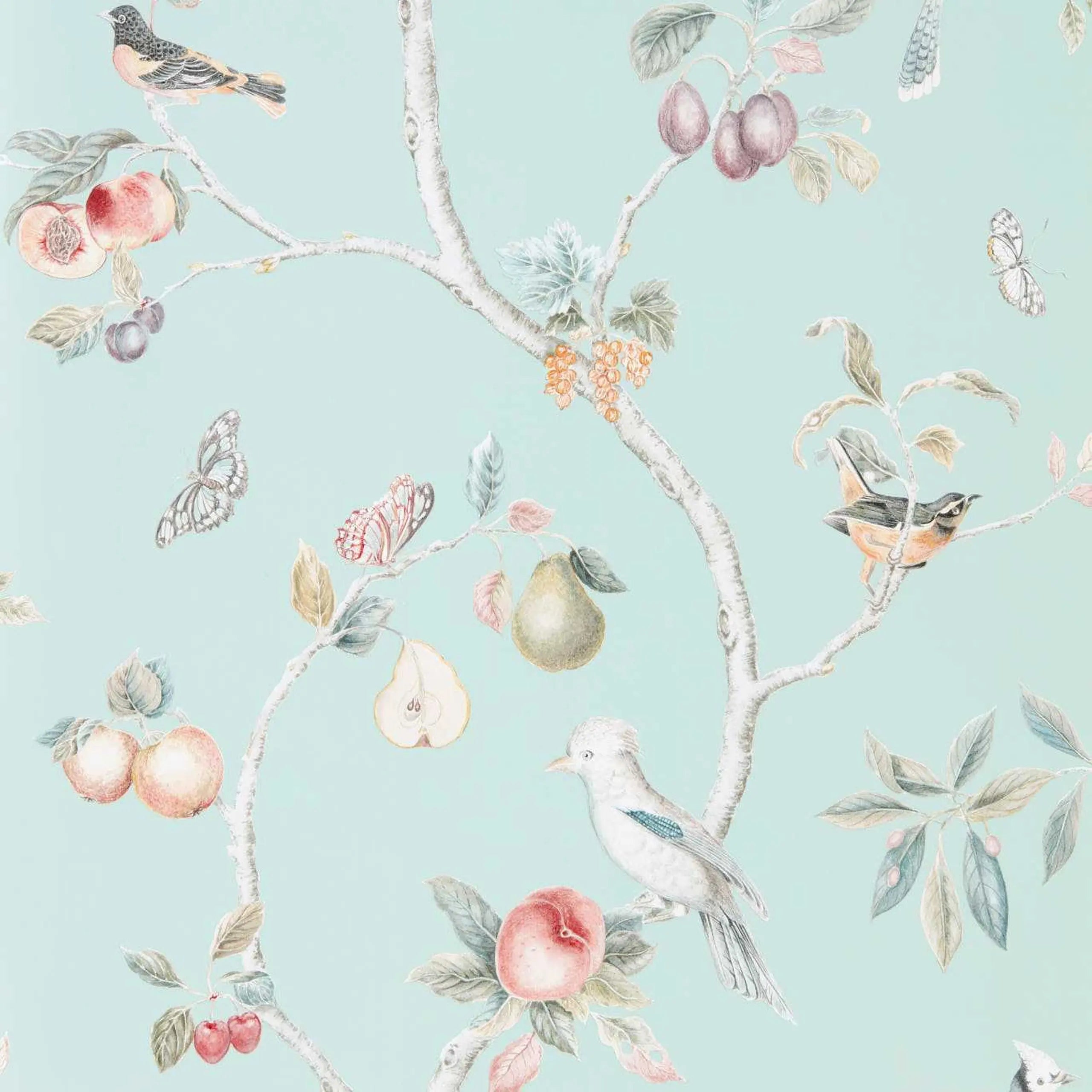 Fruit Aviary Wallpaper by Sanderson