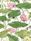 Lotus Flower Wallpaper by Daisy Bennett