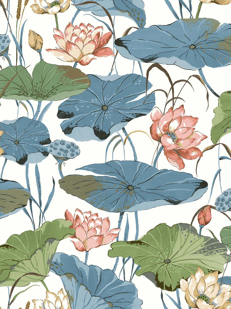 Lotus Flower Wallpaper by Daisy Bennett