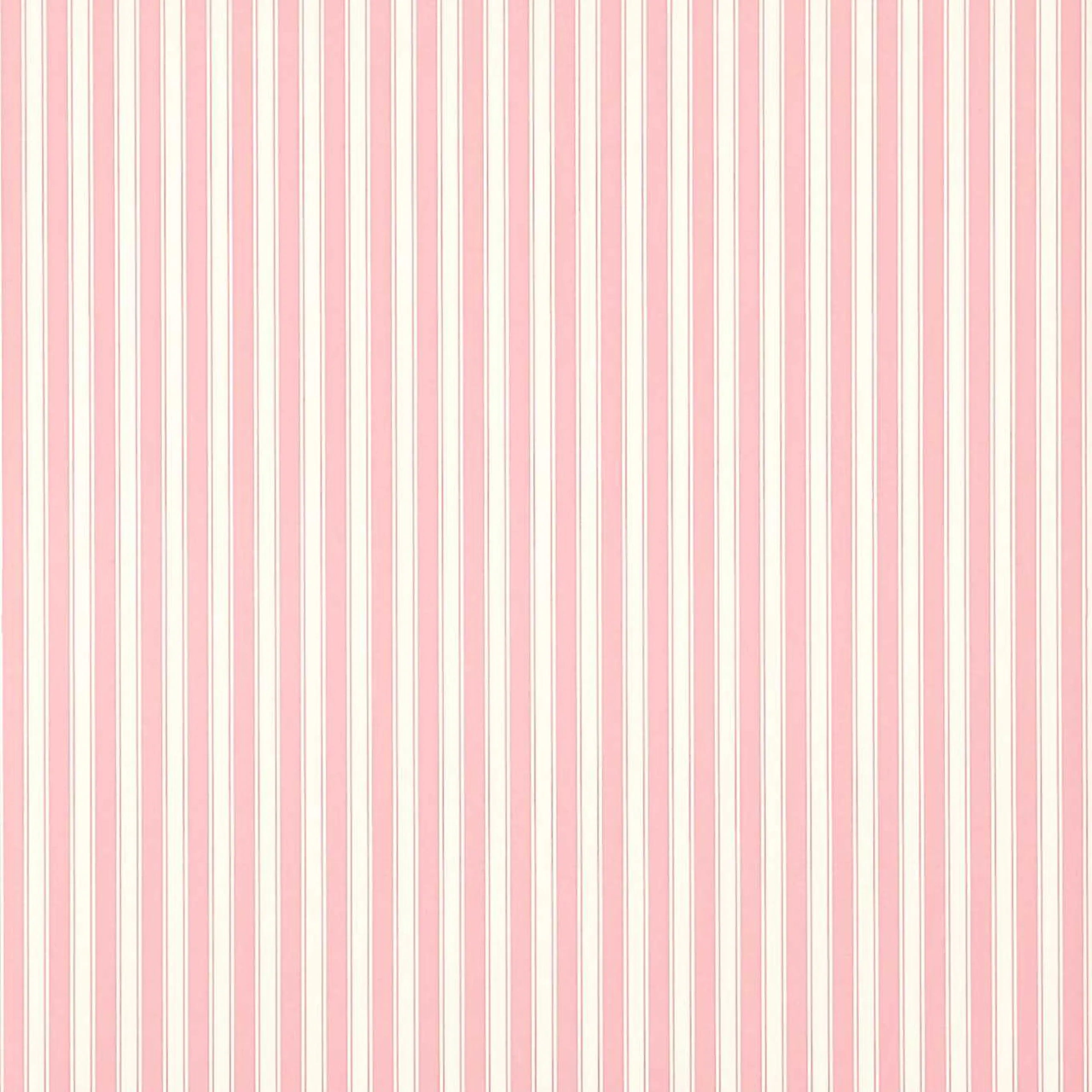 New Tiger Stripe Wallpaper by Sanderson