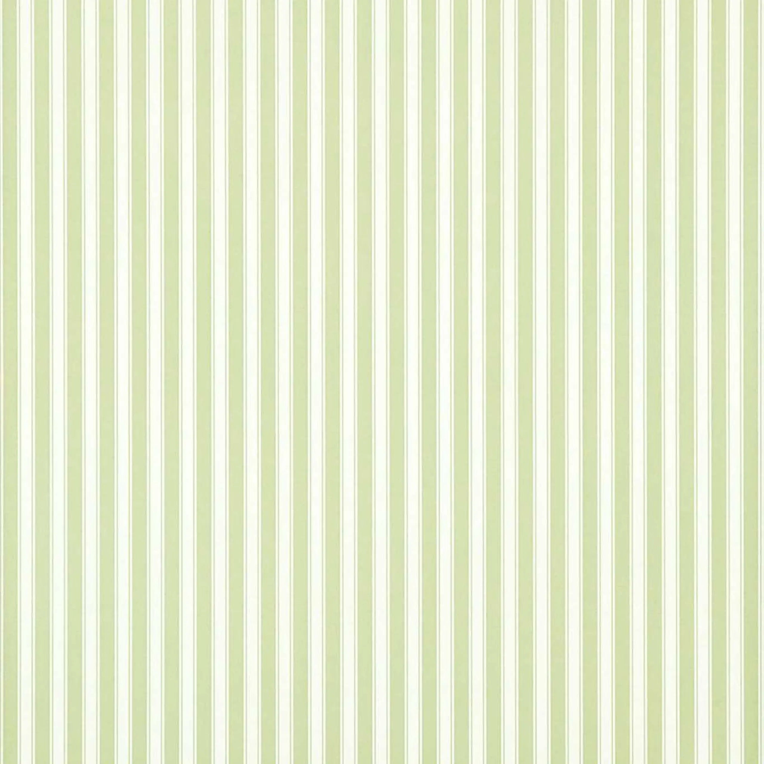 New Tiger Stripe Wallpaper by Sanderson