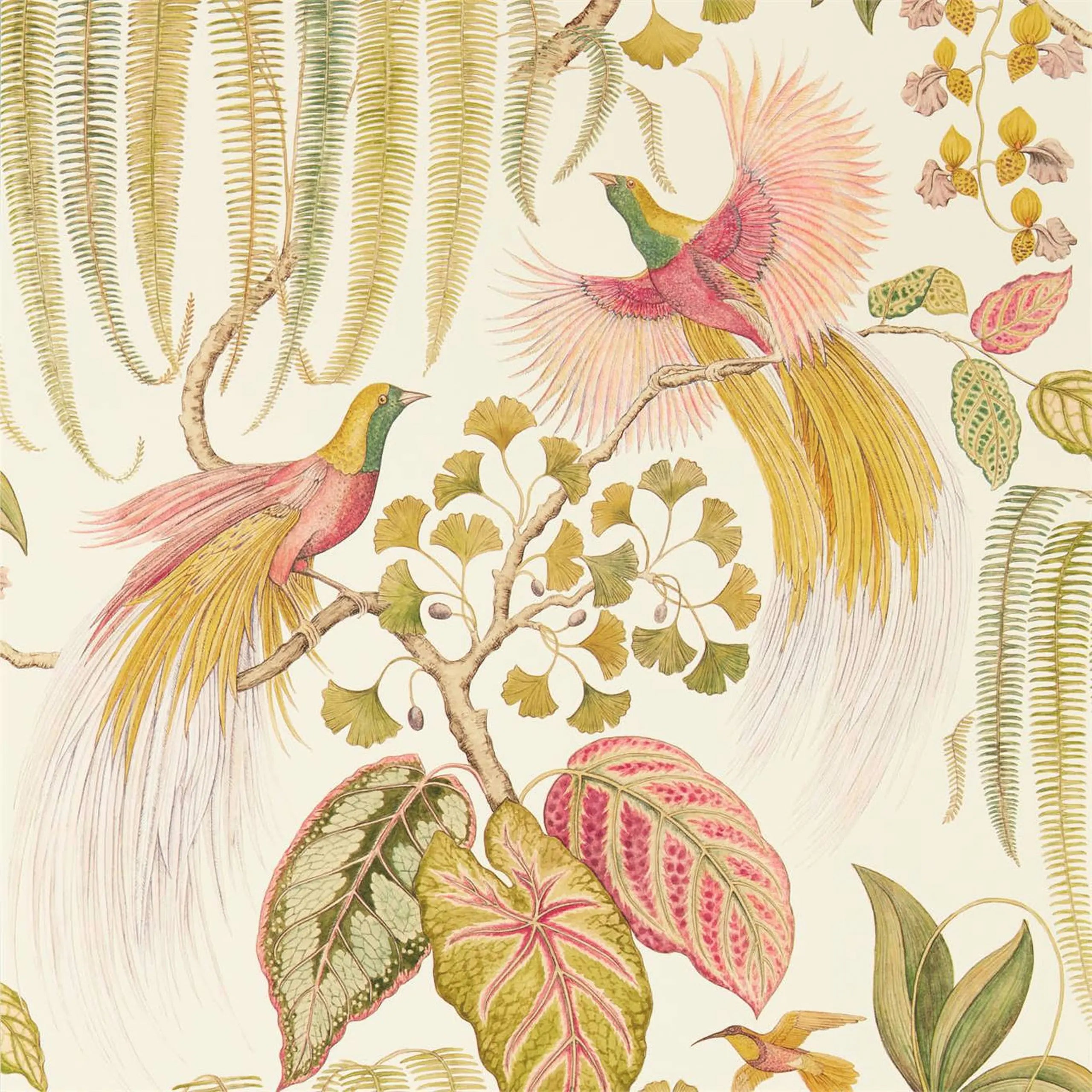 Bird of Paradise Wallpaper by Sanderson