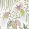 Bird of Paradise Wallpaper by Sanderson