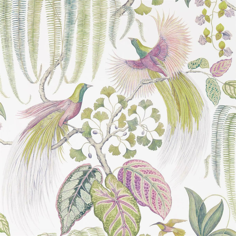 Bird of Paradise Wallpaper by Sanderson