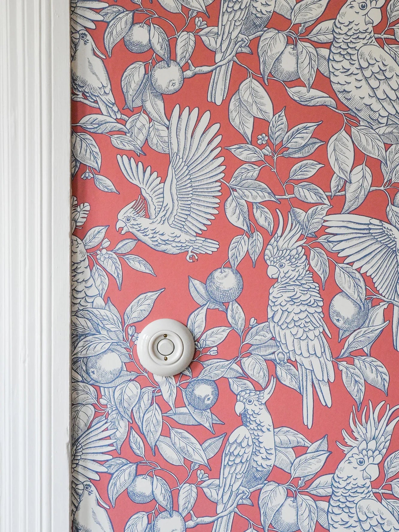 Talk About Cockatoos Wallpaper by Långelid Von Brömssen