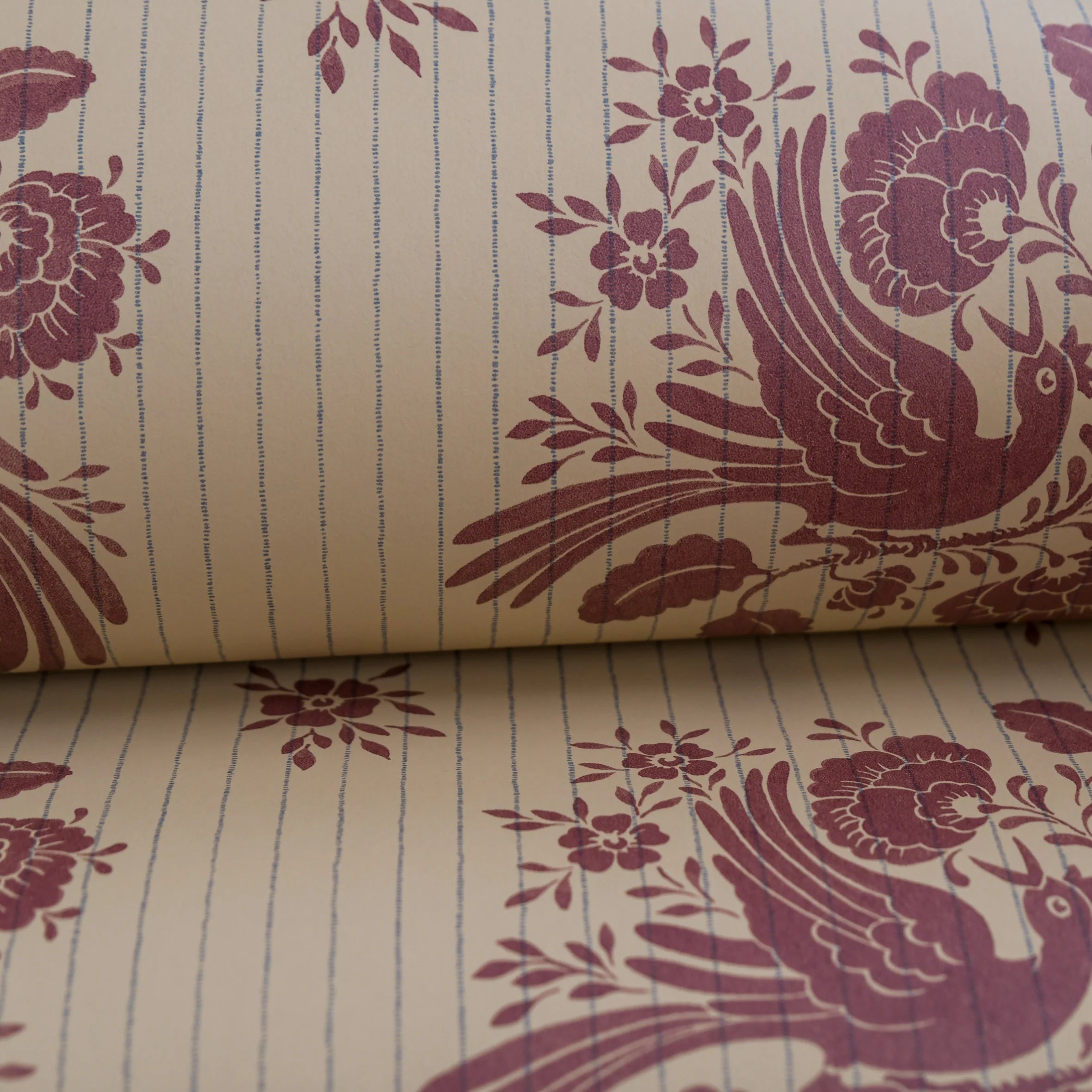 Birds Nest Wallpaper by Långelid Von Brömssen