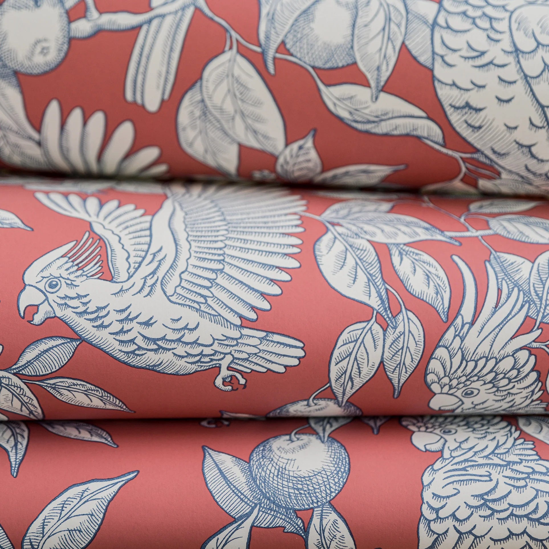 Talk About Cockatoos Wallpaper by Långelid Von Brömssen