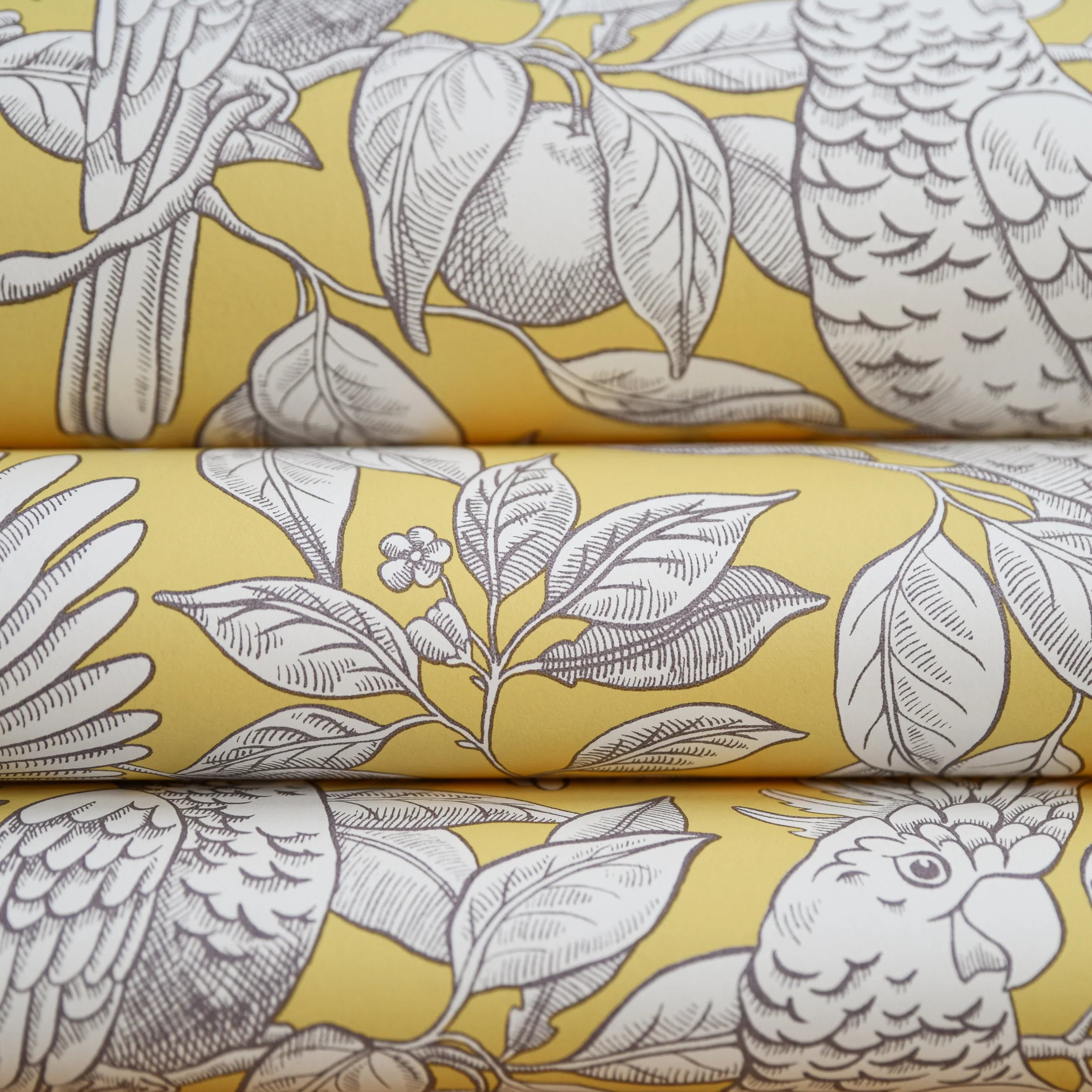 Talk About Cockatoos Wallpaper by Långelid Von Brömssen