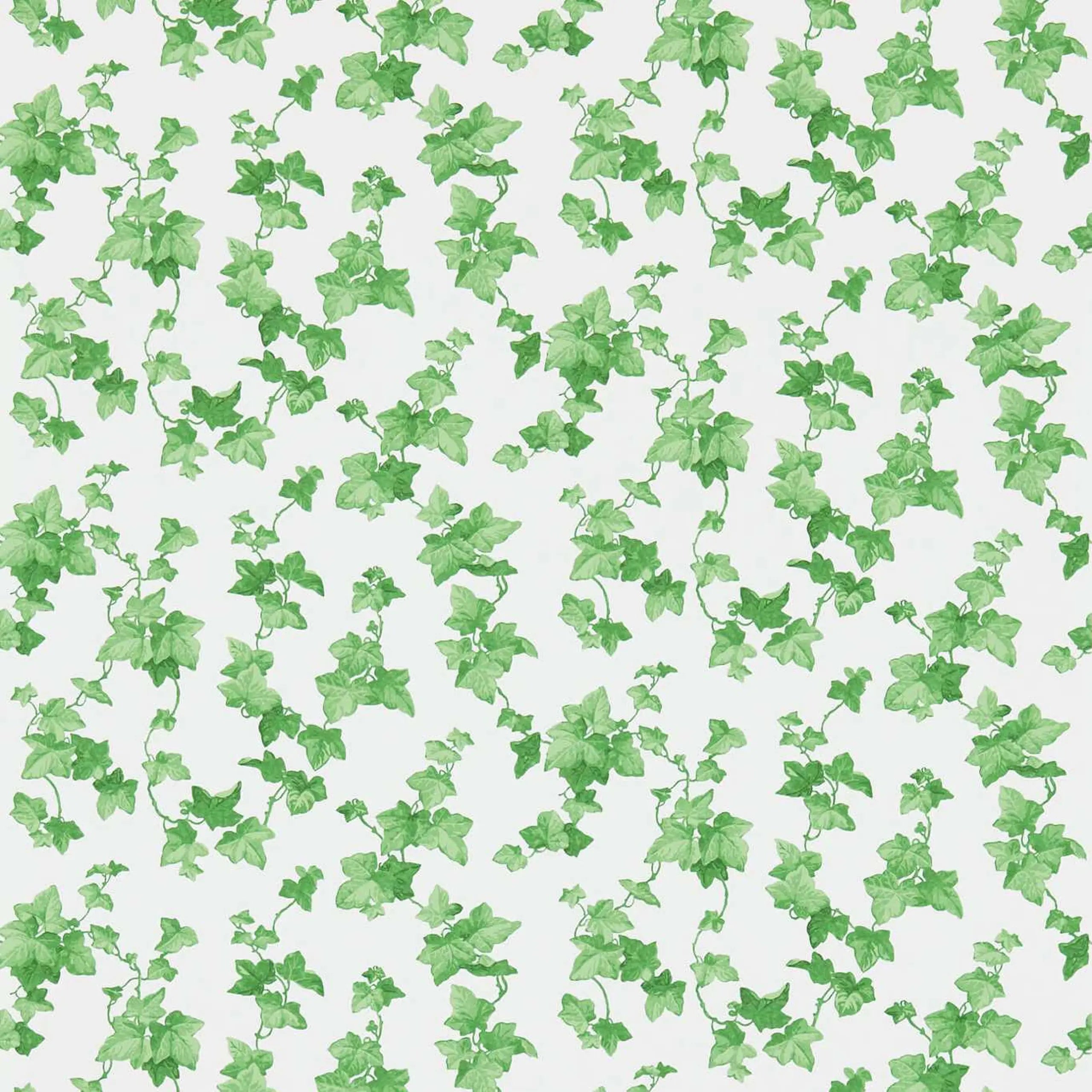 Hedera Wallpaper by Sanderson