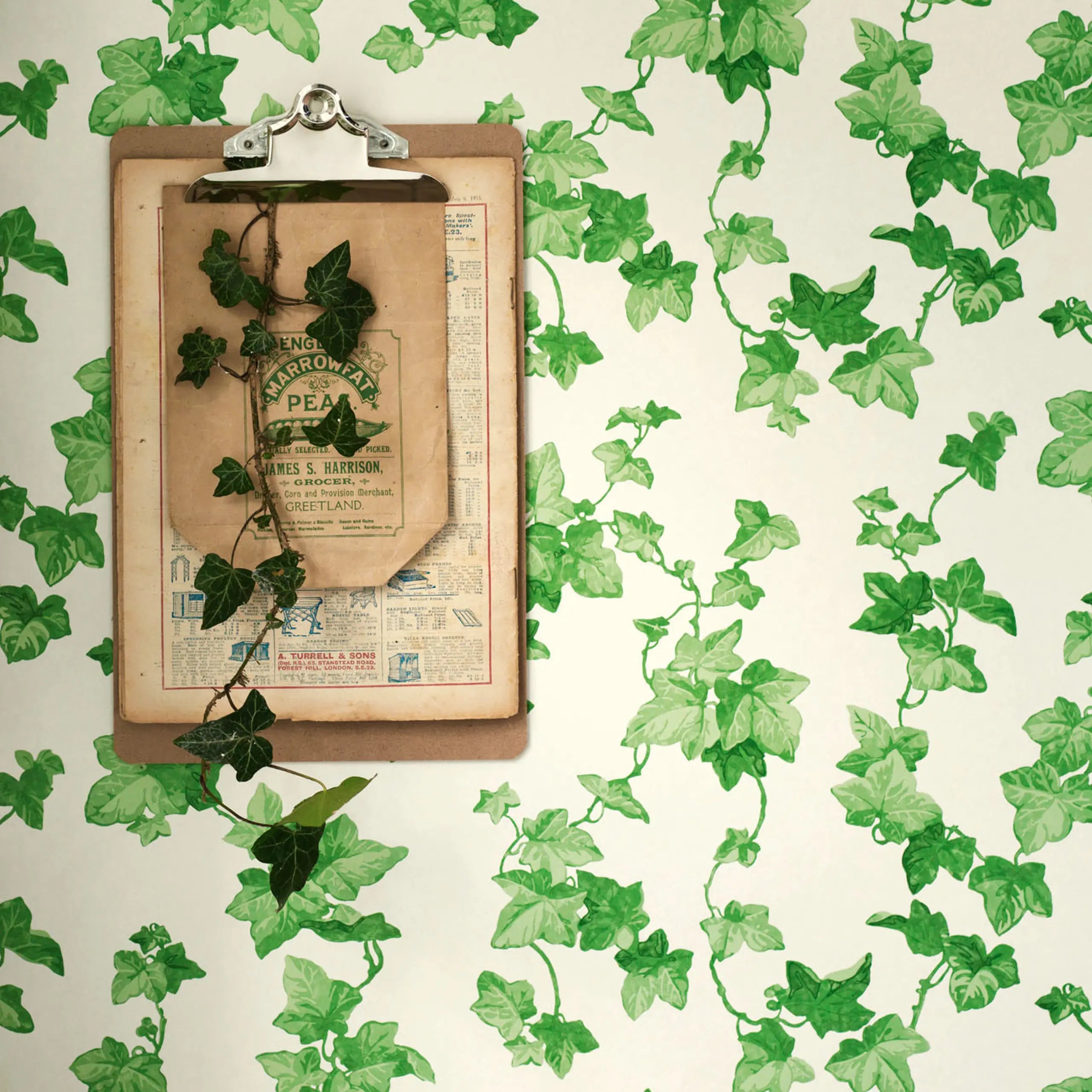 Hedera Wallpaper by Sanderson