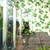 Hedera Wallpaper by Sanderson