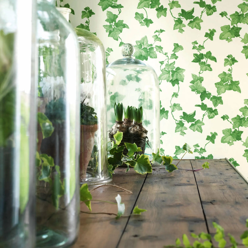 Hedera Wallpaper by Sanderson