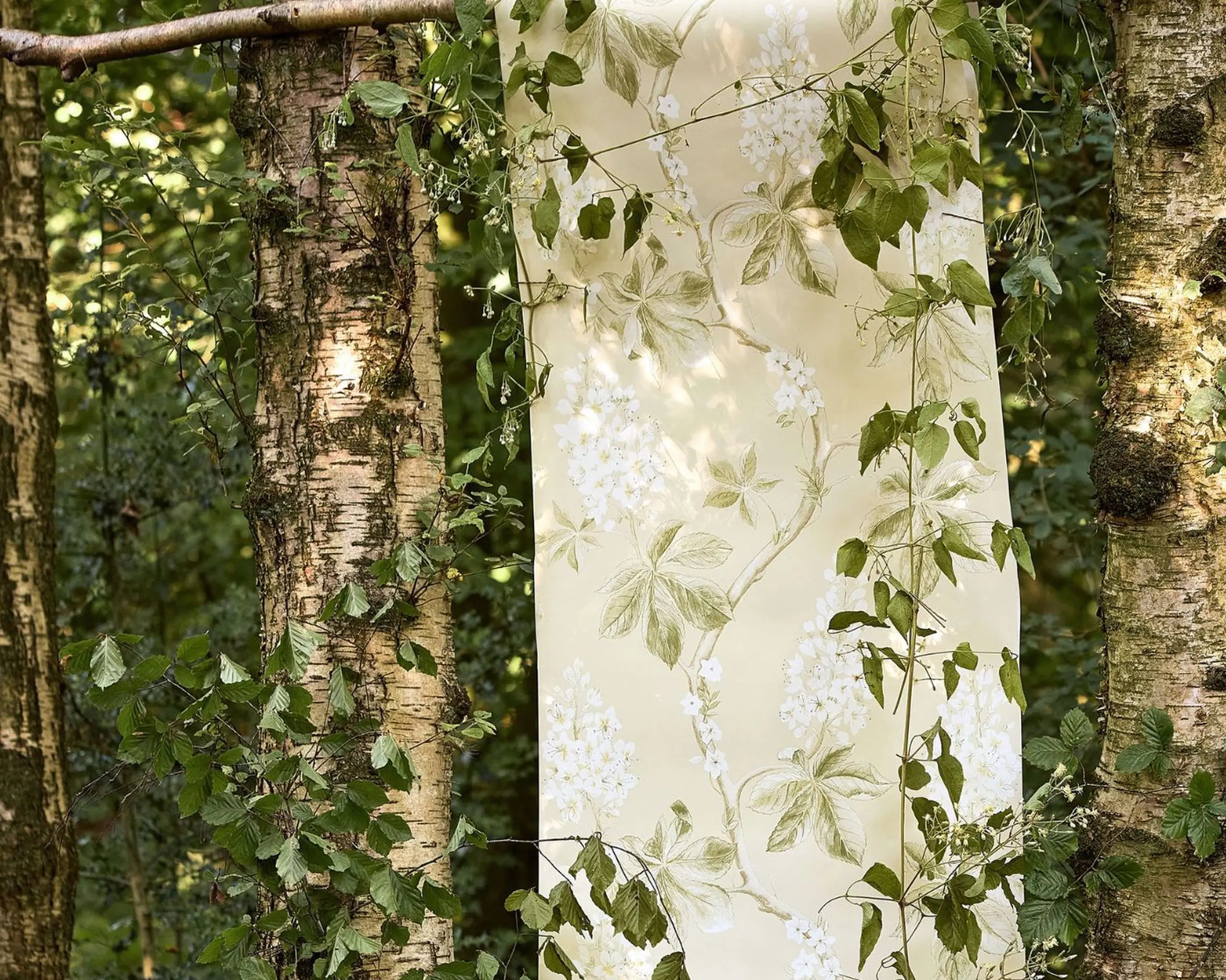 Chestnut Tree Wallpaper