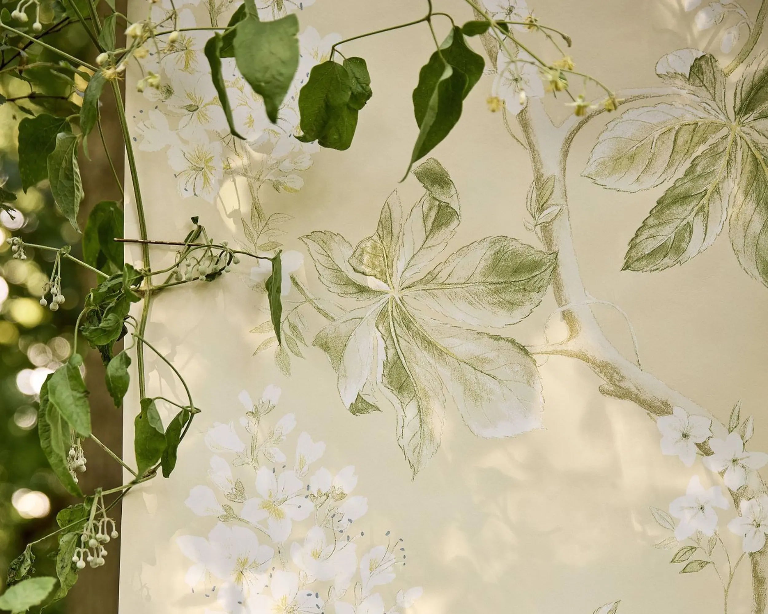 Chestnut Tree Wallpaper