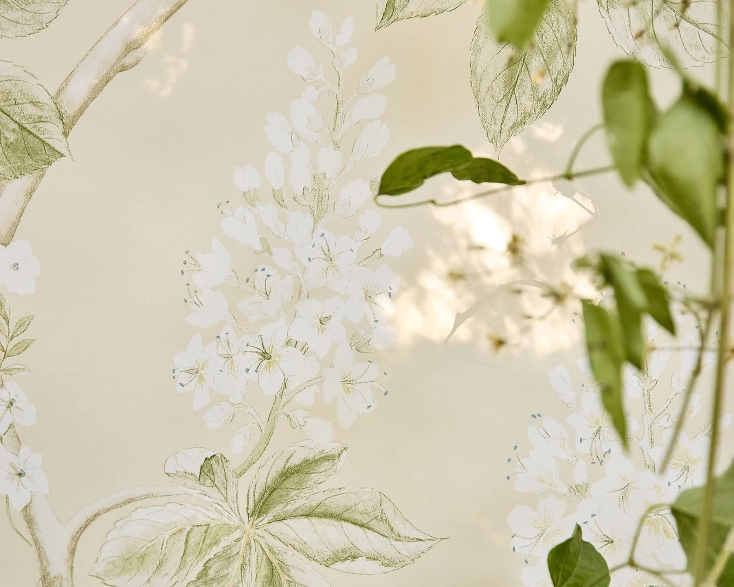 Chestnut Tree Wallpaper