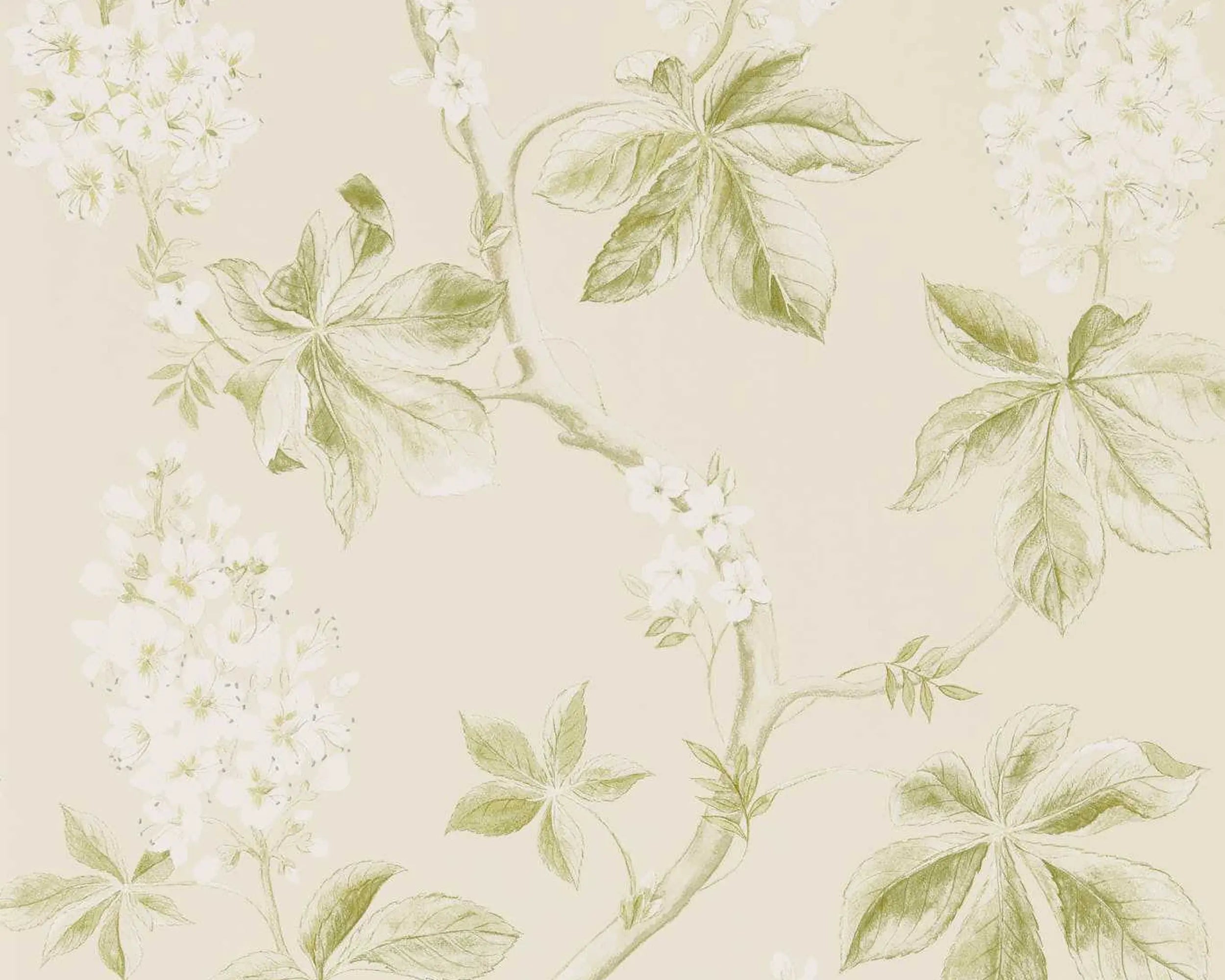 Chestnut Tree Wallpaper