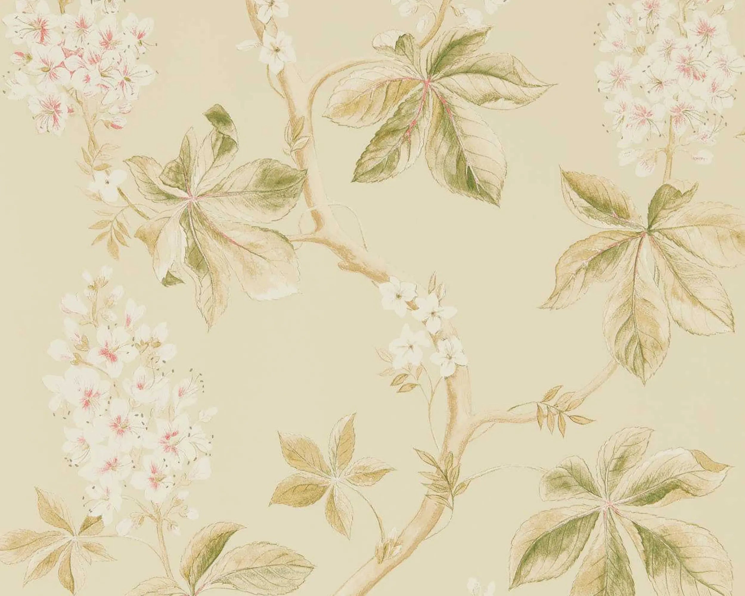 Chestnut Tree Wallpaper