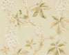 Coral/Bayleaf