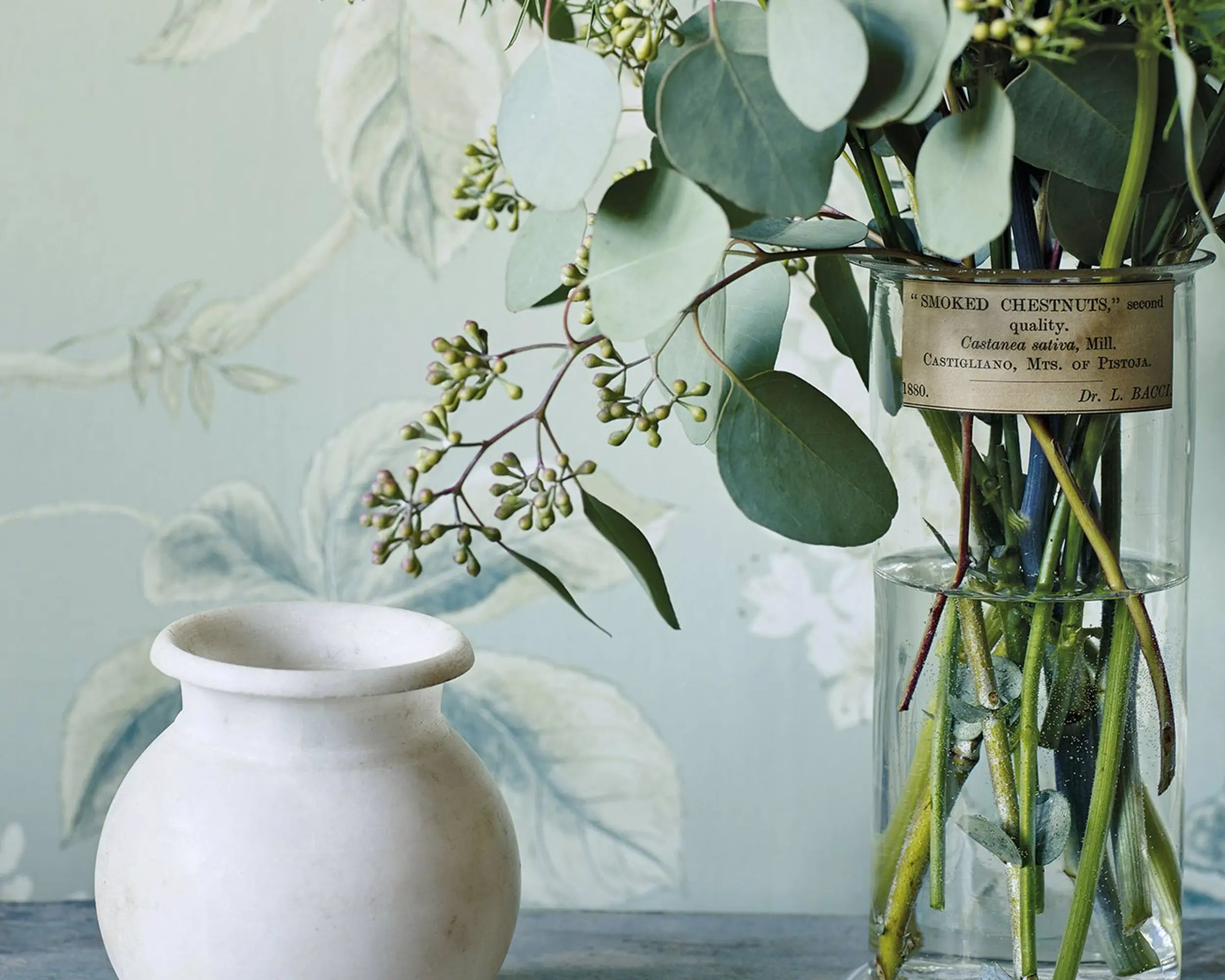 Chestnut Tree Wallpaper