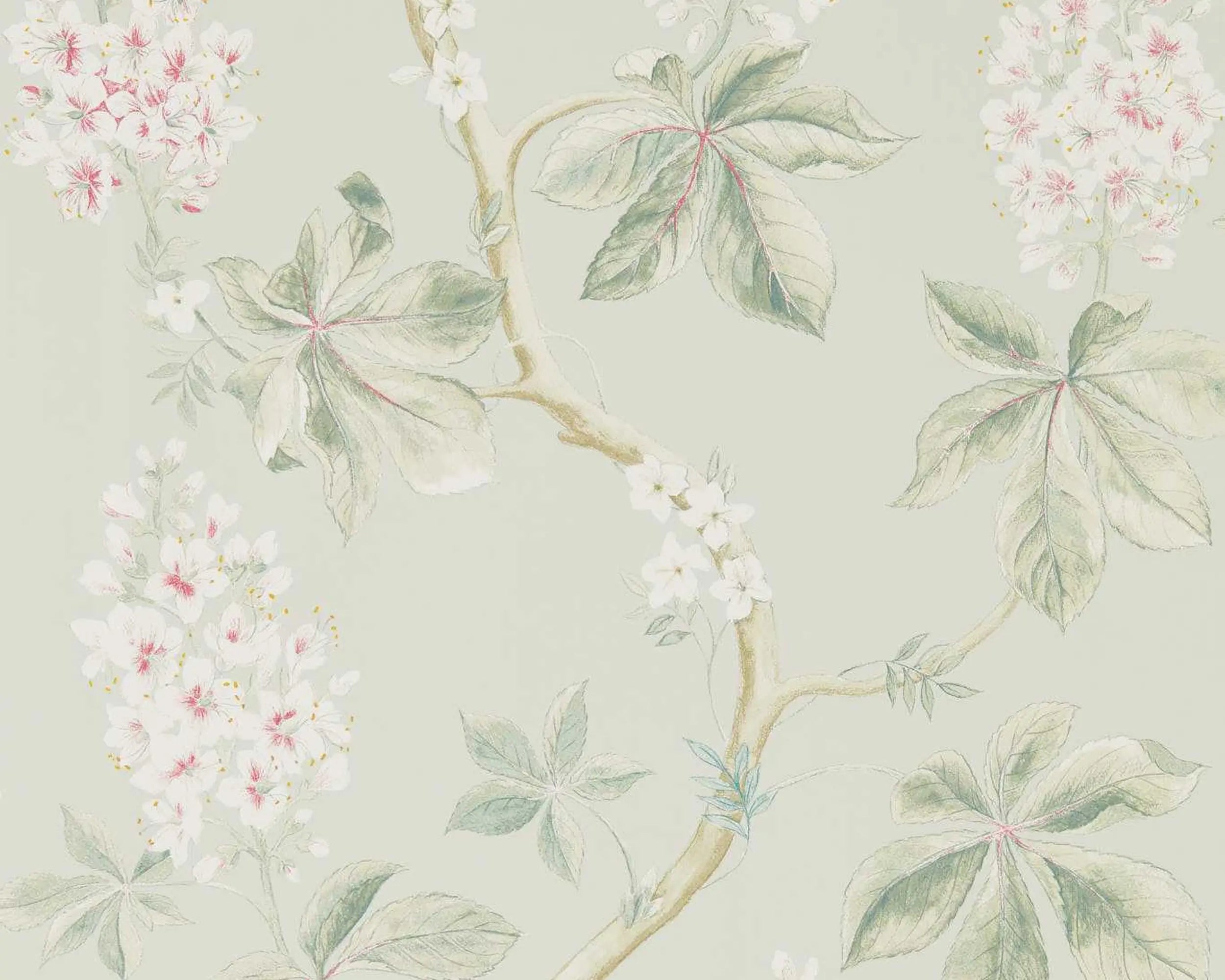 Chestnut Tree Wallpaper