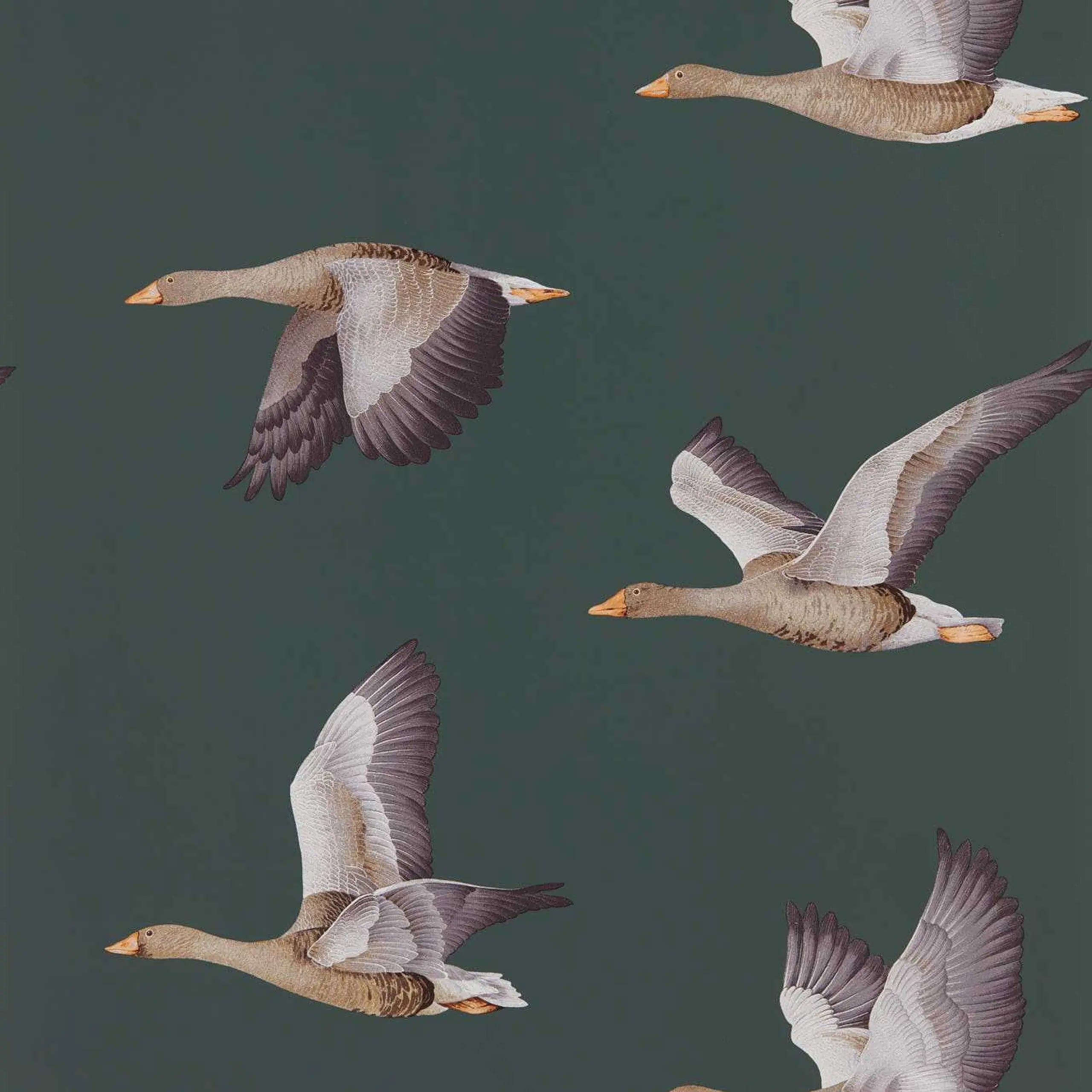 Elysian Geese Wallpaper by Sanderson