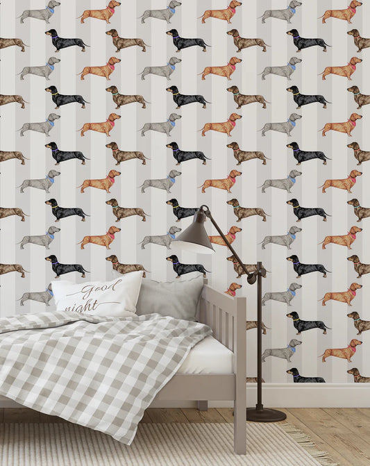 Dachshund Wallpaper by Graduate Collection