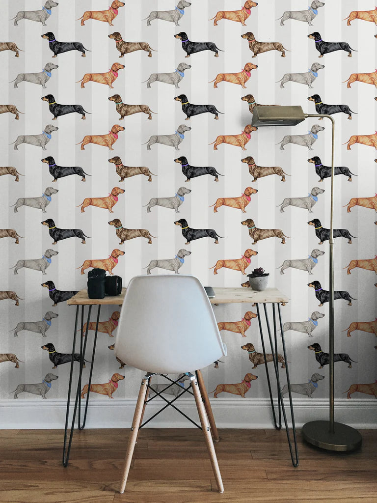 Dachshund Wallpaper by Graduate Collection